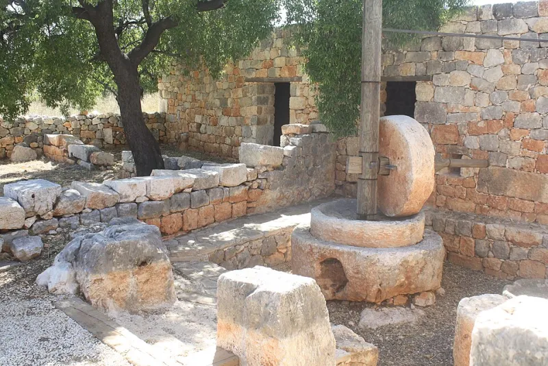 Beyond the Familiar Bottle: Rediscovering Europe's Hidden Olive Oil Traditions