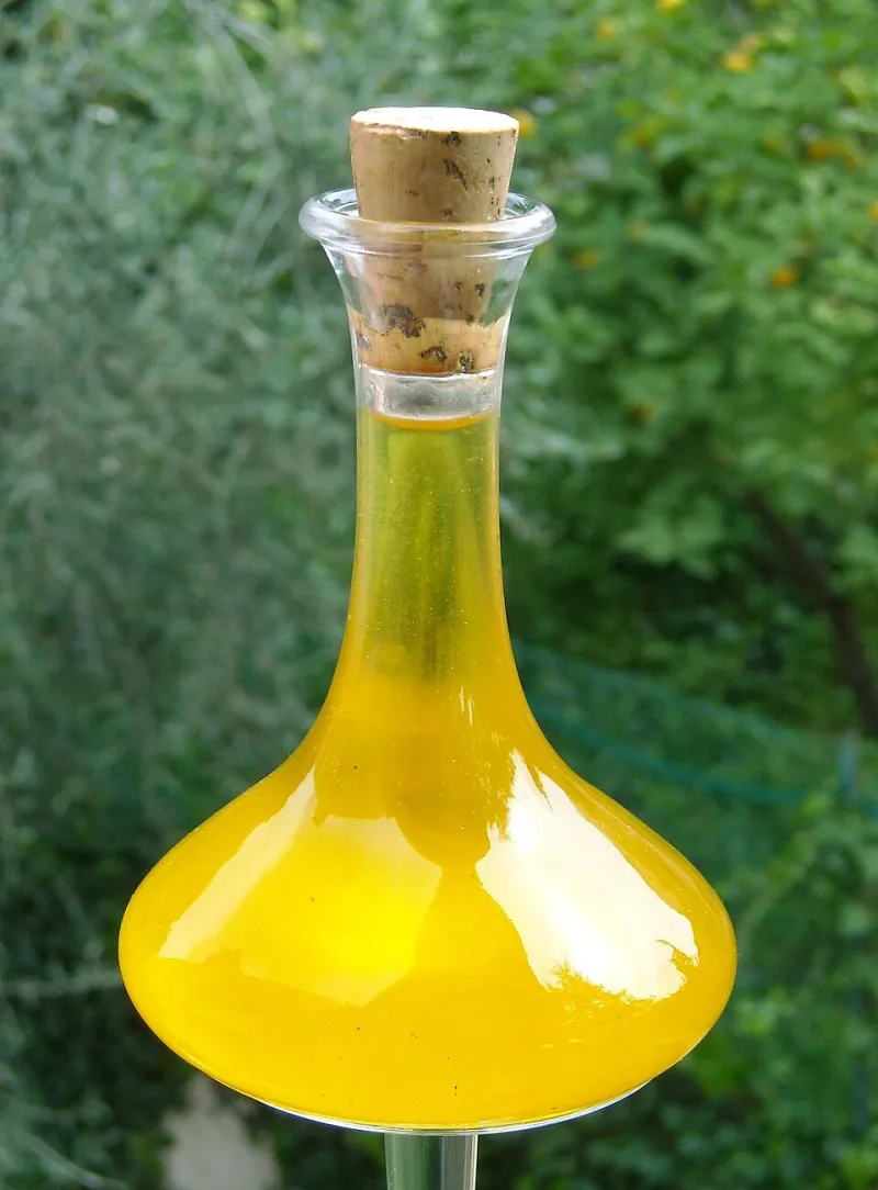 From Grove to Glass: How California, Italy, and Spain Each Pour a Different Story Into Your Olive Oil